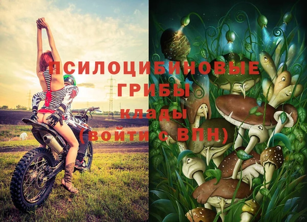 a pvp Лагань