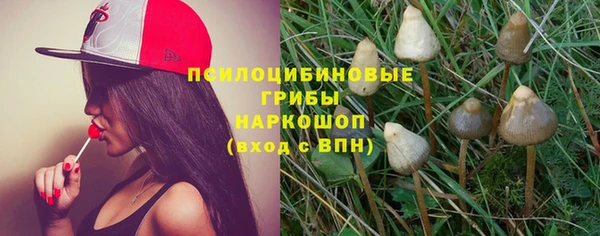 бошки Лабытнанги