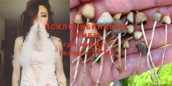 бошки Лабытнанги