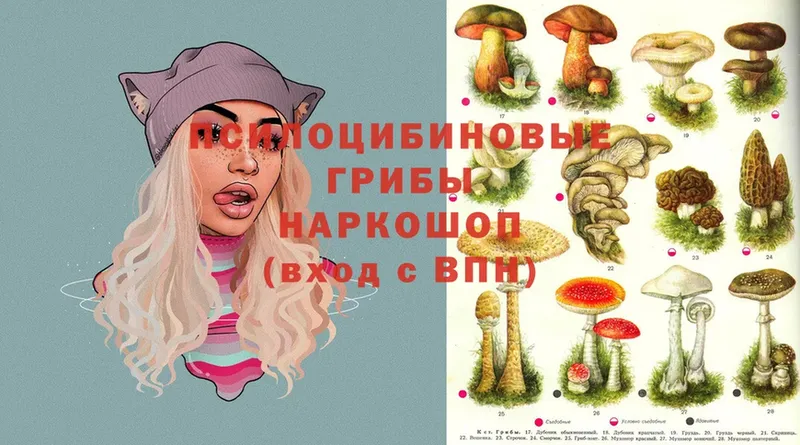 Псилоцибиновые грибы Magic Shrooms  закладки  shop как зайти  Геленджик 