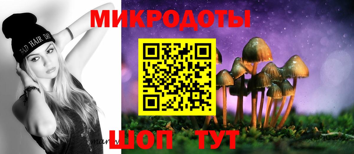 Псилоцибиновые грибы ЛСД  Вход с VPN  Псилоцибиновые грибы мицелий  купить наркотик  Геленджик 